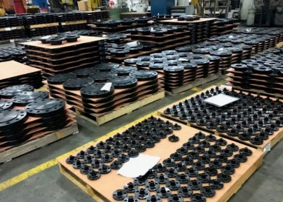 1/2-48 Płyty stalowe klasy 900 dla solidnych połączeń i niezawodnej wydajności