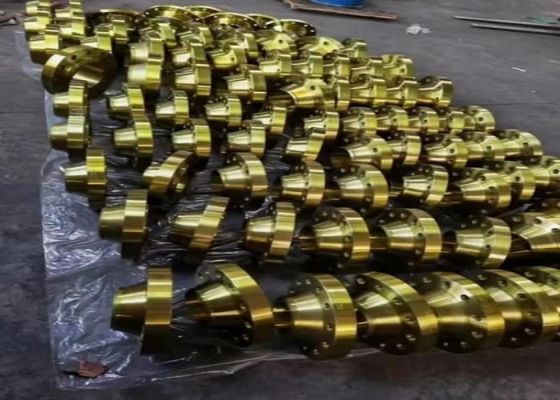 Klasy 2500 Flangy stalowe o gorącej galwanizacji do projektów budowlanych