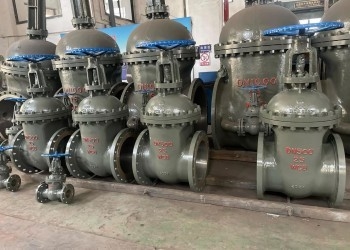 150-1500 lb Wtyczka bramkowa DN10-DN50