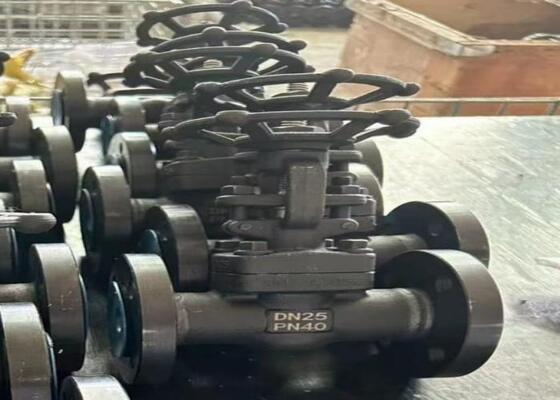 Ręczny zasuwowy zawór stalowy z pokrywą przykręcaną DN10-DN50 150lb-1500lb Wysoka odporność na korozję